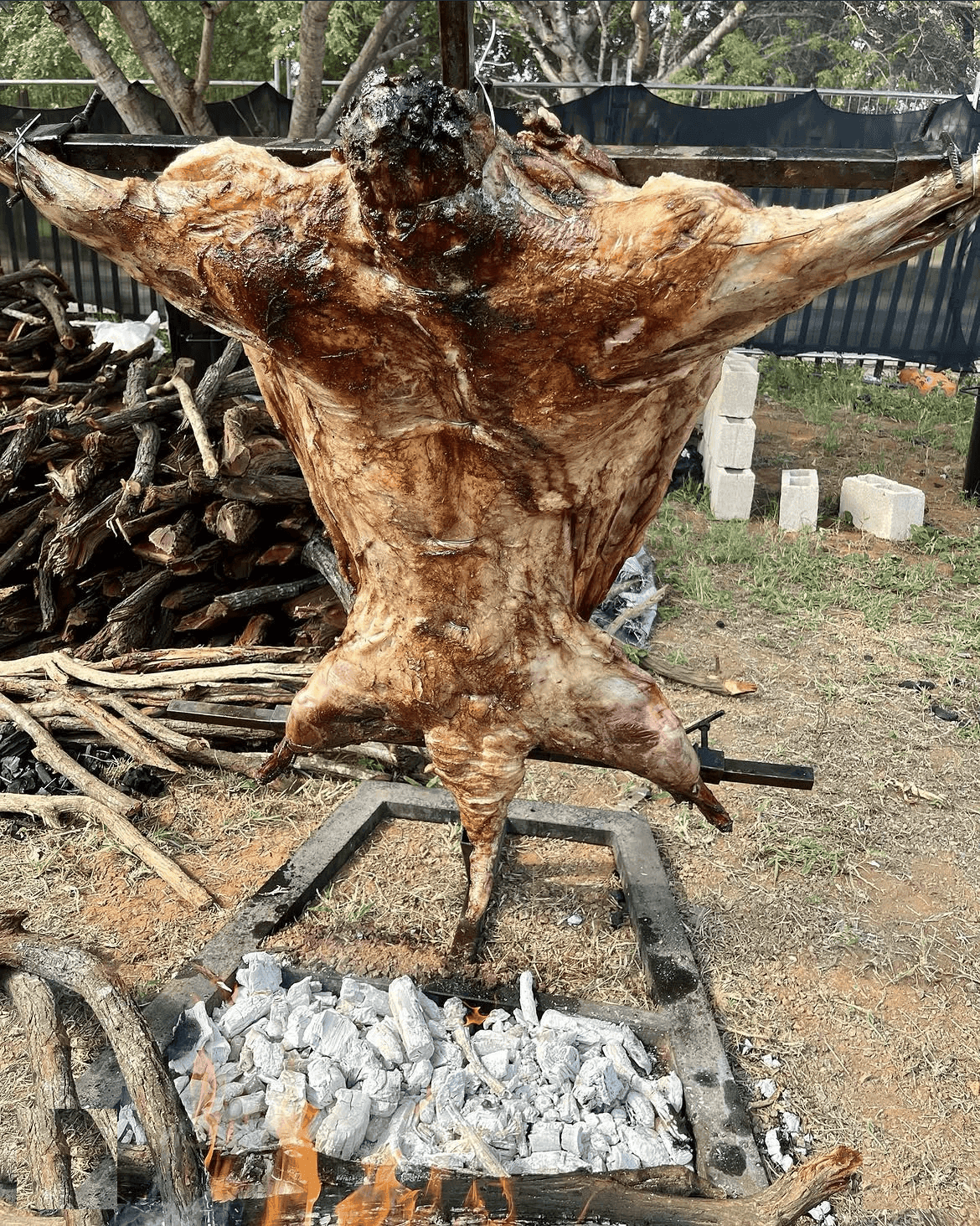 A whole lamb roasting slowly over glowing coals.